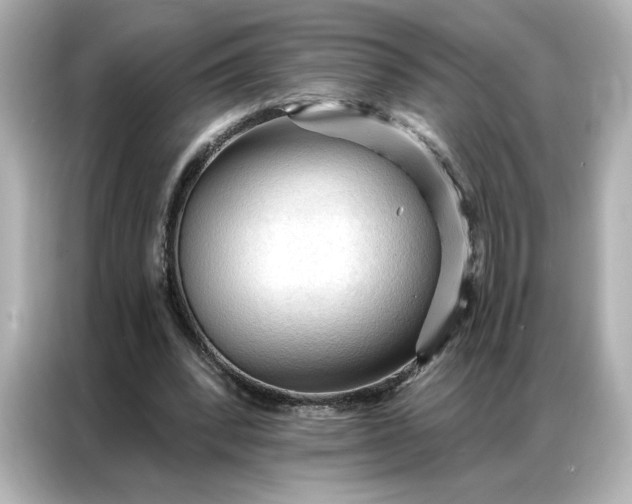 X0000086900392200704301021