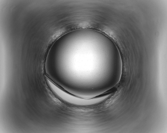 X0000086900393200704301021