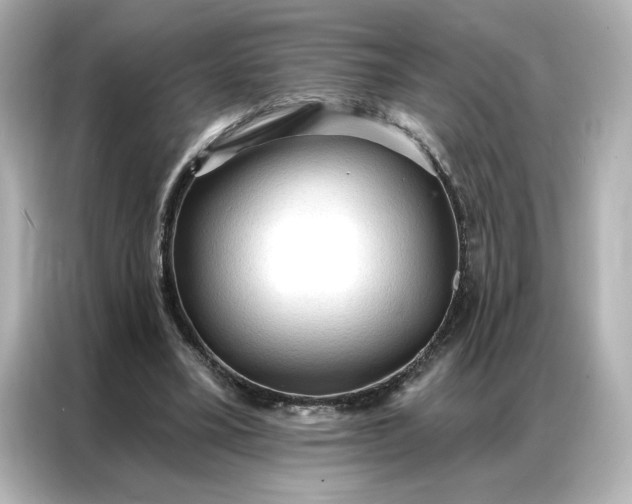 X0000086900395200704301021