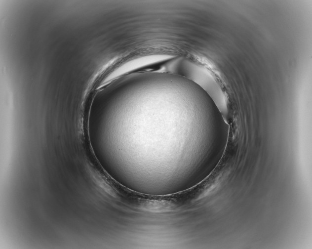 X0000086900399200704301021