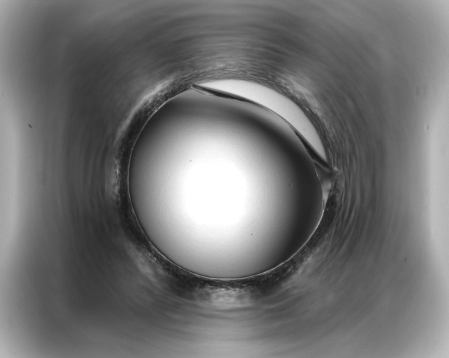 X0000086900400200704301021