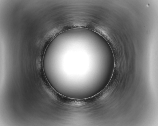 X0000086900402200704301021