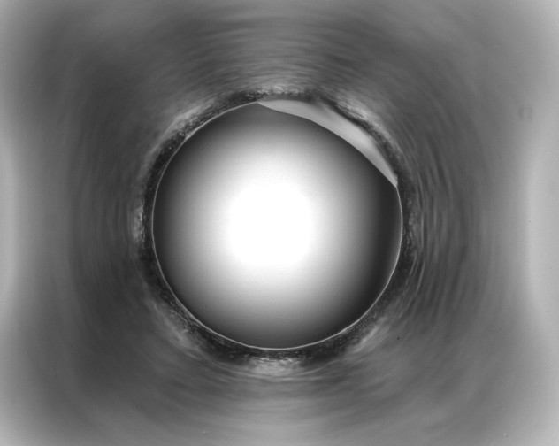 X0000086900403200704301021