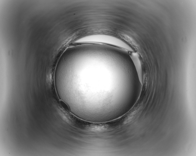 X0000086900405200704301021