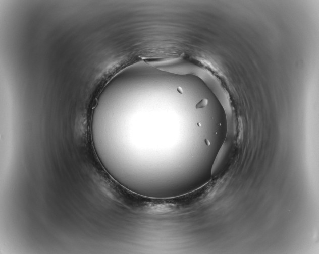 X0000086900407200704301021