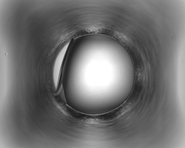 X0000086900408200704301021