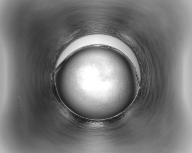 X0000086900409200704301021