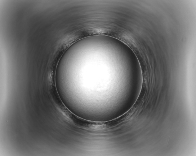 X0000086900410200704301021