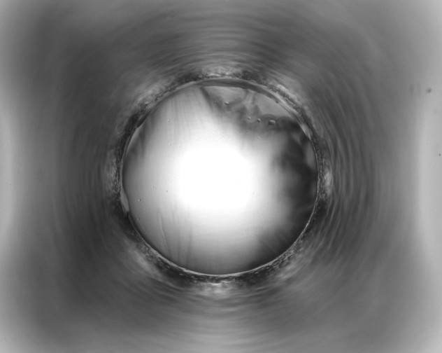 X0000086900411200704301021