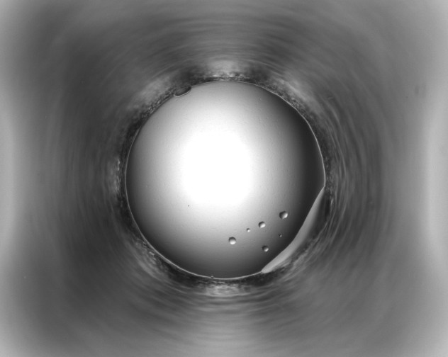 X0000086900413200704301021