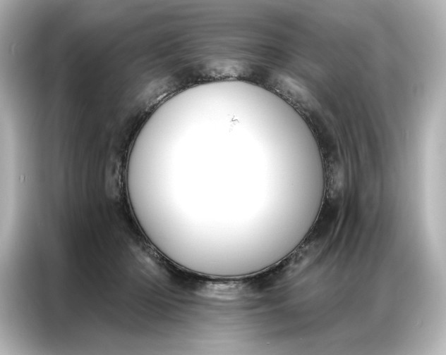 X0000086900414200704301021