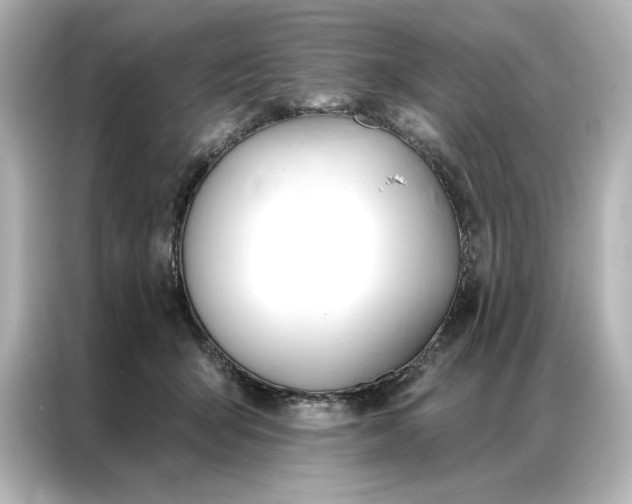 X0000086900415200704301021