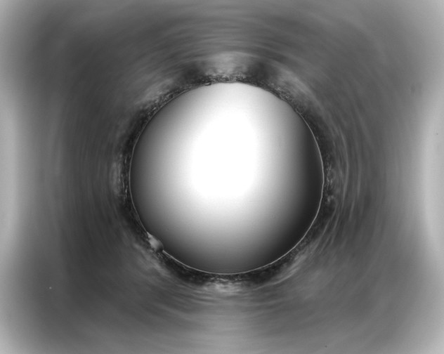 X0000086900416200704301021