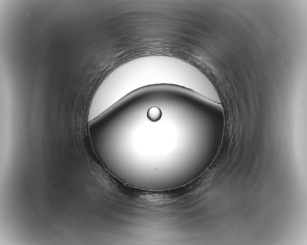 X0000086900417200704301021