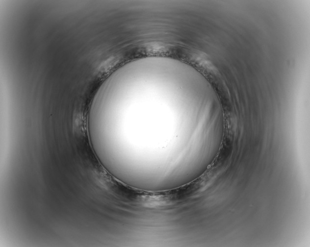 X0000086900419200704301021