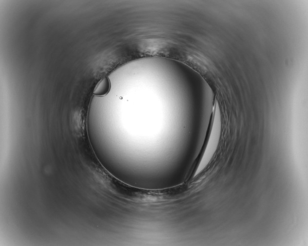 X0000086900420200704301021