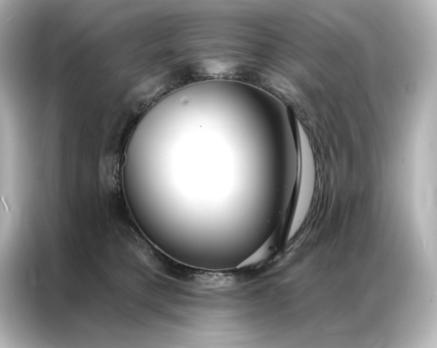 X0000086900421200704301021