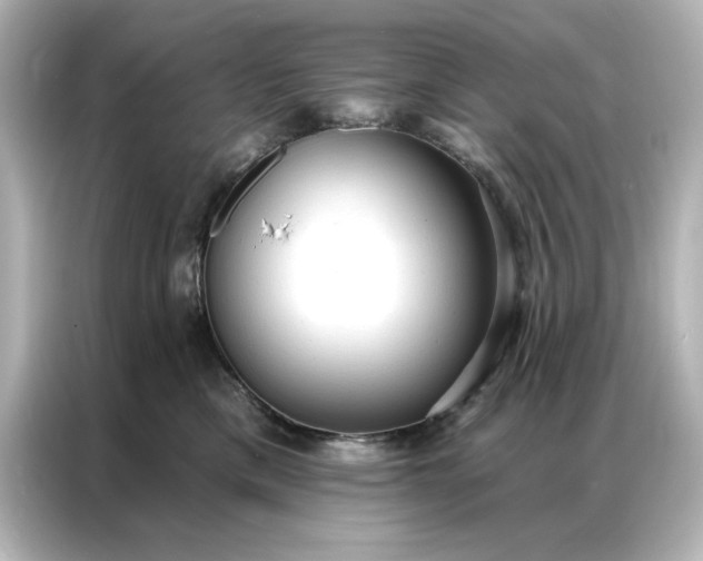 X0000086900425200704301021