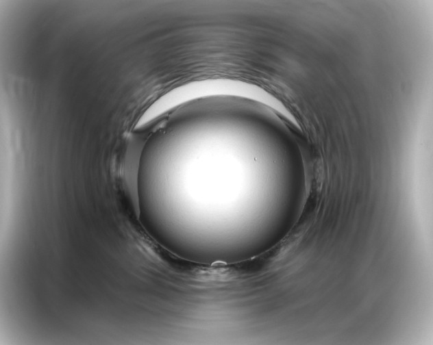 X0000086900428200704301021