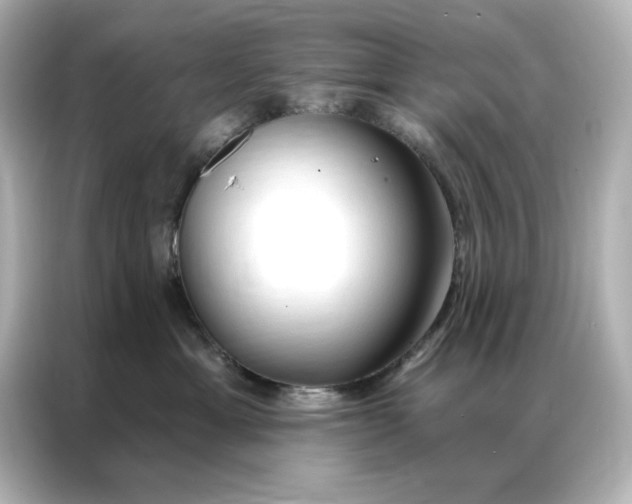 X0000086900429200704301021