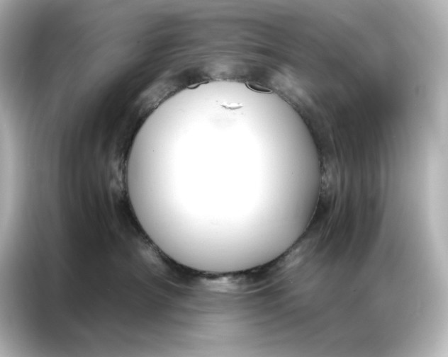 X0000086900430200704301021