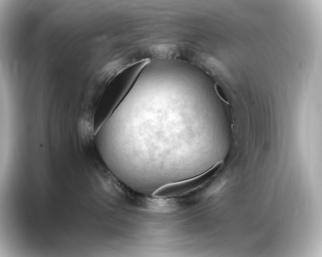 X0000086900432200704301021