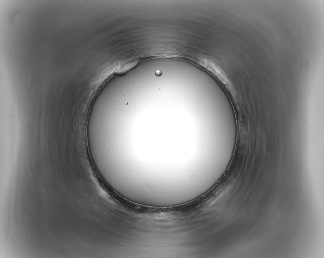 X0000086900433200704301020