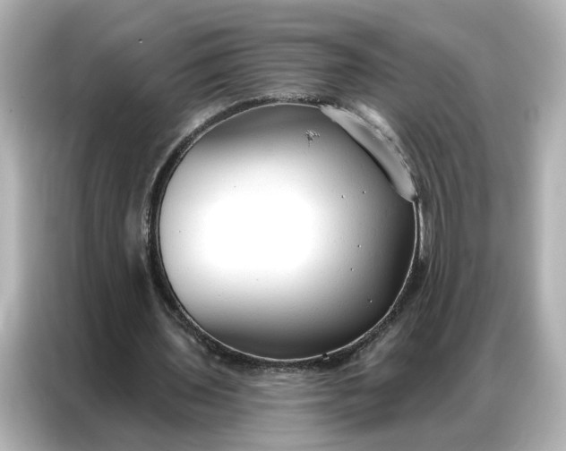 X0000086900435200704301020