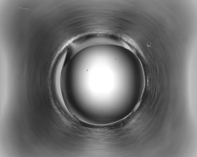 X0000086900436200704301020