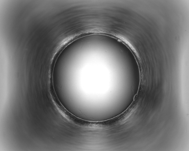 X0000086900437200704301020