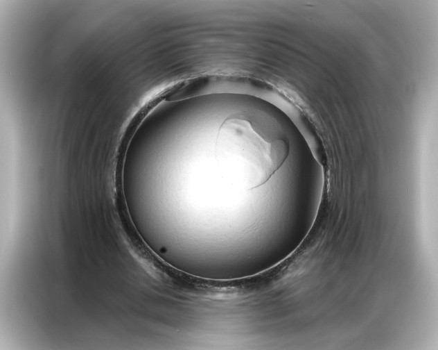 X0000086900438200704301020