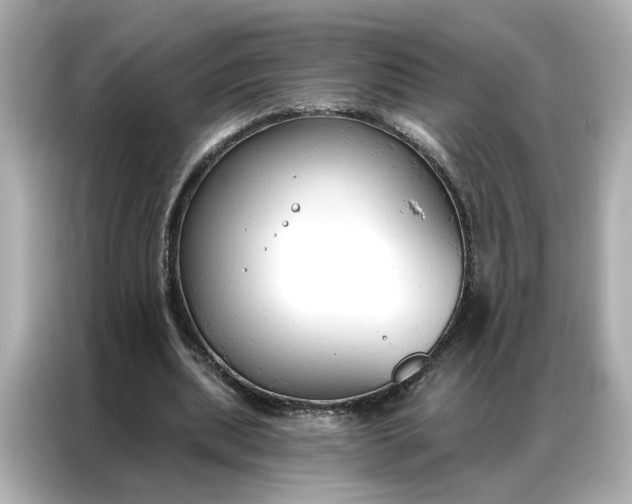 X0000086900439200704301020