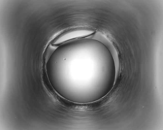 X0000086900440200704301020