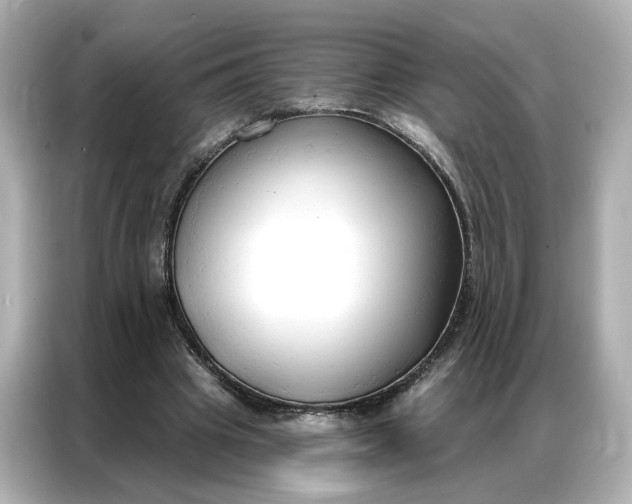 X0000086900441200704301020