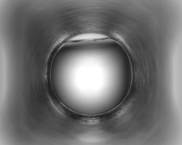 X0000086900443200704301020