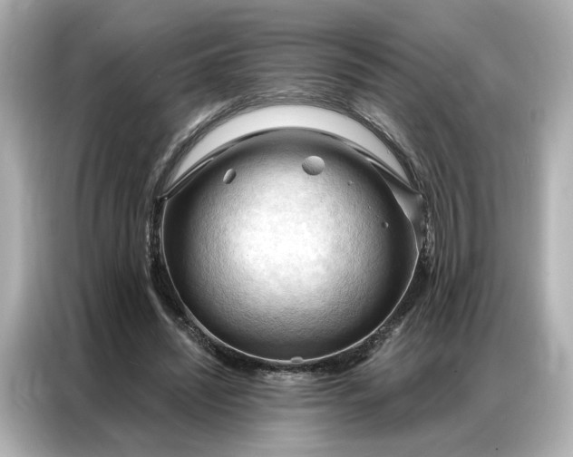 X0000086900444200704301020