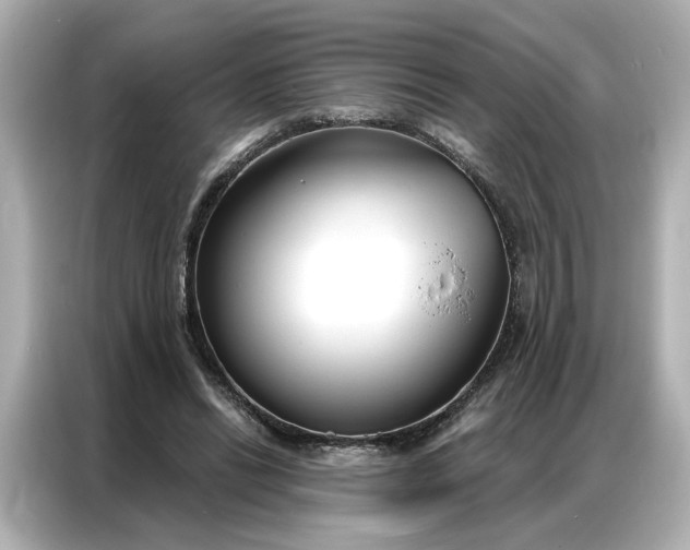 X0000086900446200704301020