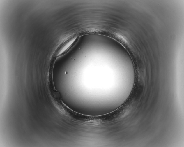 X0000086900447200704301020