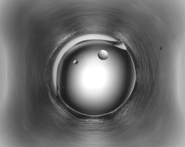 X0000086900448200704301020