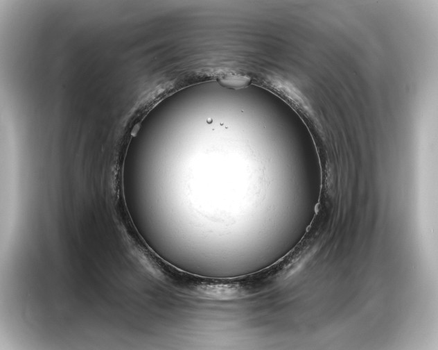 X0000086900449200704301020