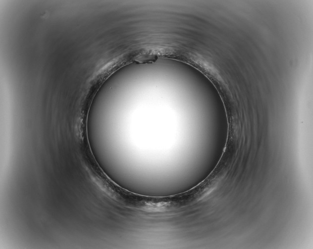 X0000086900450200704301020