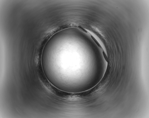 X0000086900451200704301020