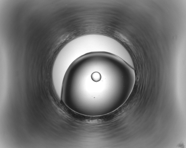 X0000086900452200704301020