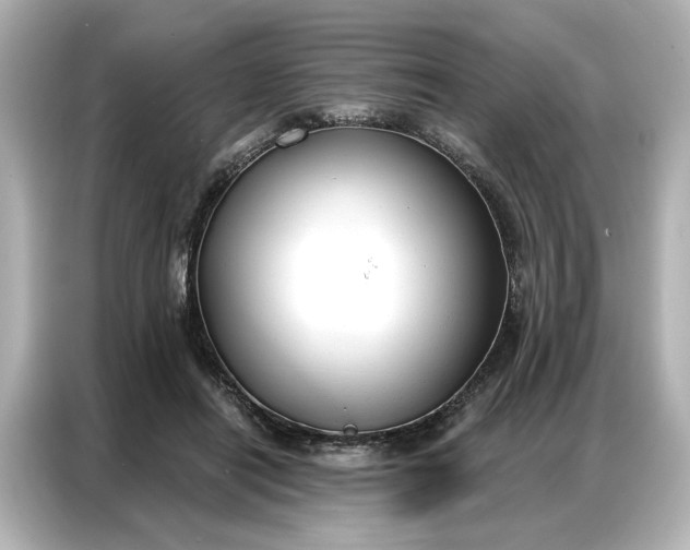 X0000086900454200704301020