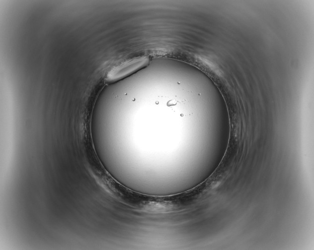 X0000086900455200704301020