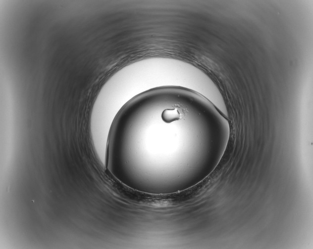 X0000086900456200704301020