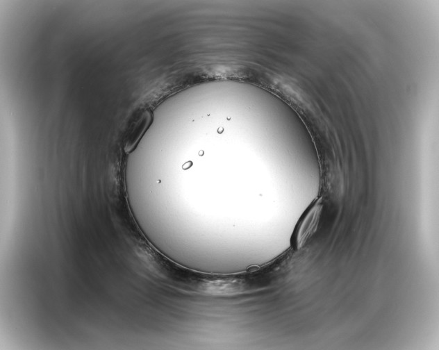 X0000086900461200704301020