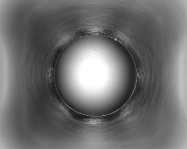 X0000086900462200704301020