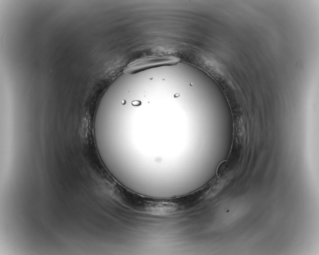 X0000086900463200704301020