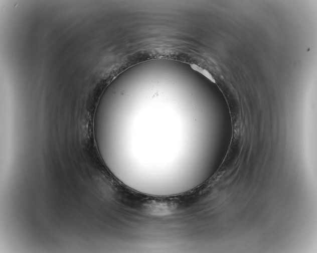 X0000086900464200704301020